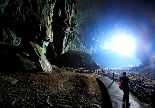 800 - Mulu1473230348-XL