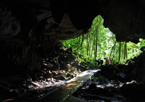 800 - Mulu1473308434-M