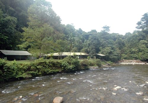 800 - MuluCamp-5-scaled