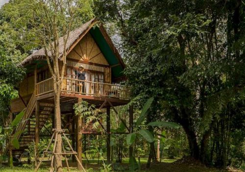 800 - Our Jungle Eco Resort - Tree_House_OJC_Khao_Sok