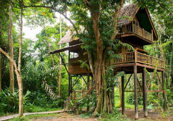 800 - Our Jungle Resorts - Double Story Tree House (10)