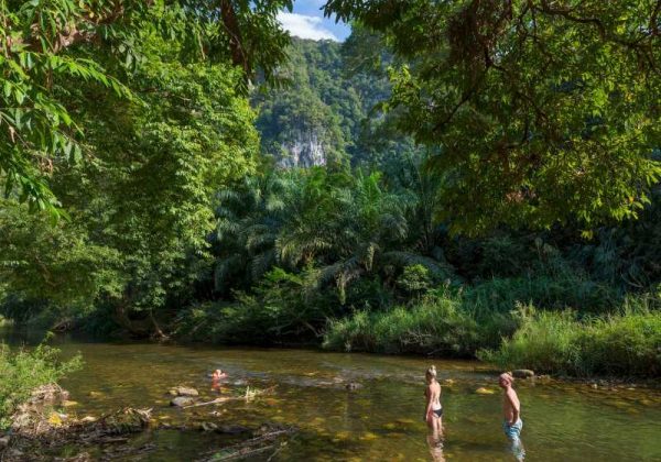 800 - Our Jungle Resorts - Our Jungle Surroundings (5)