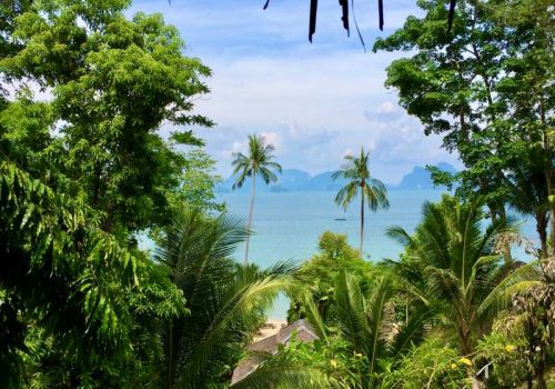 800 - Paradise Koh Yao - IMG_0613