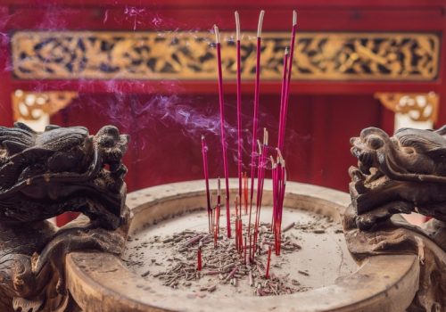 800 - Penangtemple-of-snakes-with-real-snakes-inside-on-the-island-of-penang-malaysia