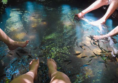 People Relaxing  foot spa with fish and beautiful sunlight and shadow on water in the forest garden in Thailand