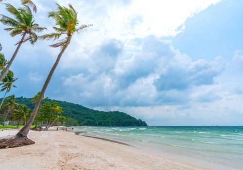 800 - Phu Quoc - seascape-with-tropical-palms-beautiful-sao-sandy-beach-phu-quoc-island-vietnam