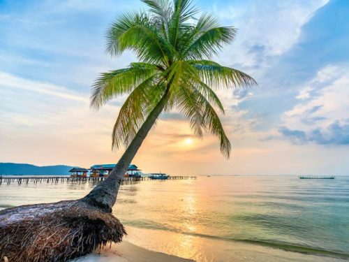 800 - Phu Quoc - tropischer-strand-mit-palmen-am-schoenen-sandstrand-auf-der-insel-phu-quoc-vietnam-sonnenunterganghimmel