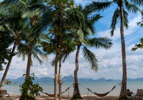800 - Phuket, Yao Noi, Khao Sok - tree-on-sand-beach-on-island-with-cloudy-blue-sky-relax-and-tranquil-koh-yao-noi-in-phangnga