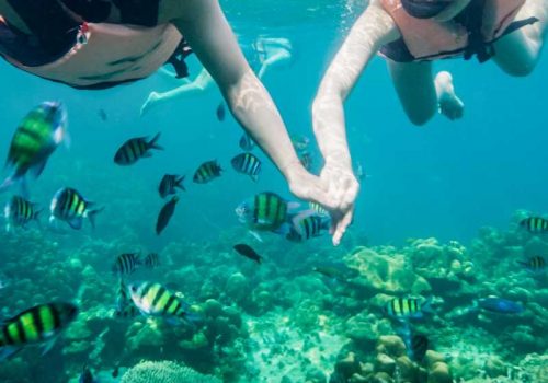 800 - Phuket, Yao Noi, Khao Sok - young-asian-couple-holding-hands-snorkeling-with-school-of-fish-in-tropical-sea-on-vacation