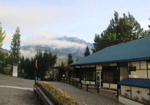 800 - Pine Resort163058923