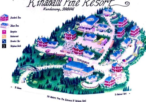 800 - Pine Resort20220531-egbcf-pine-landscap-jpg