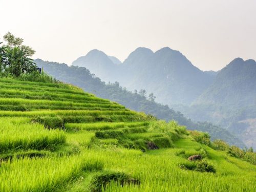 800 - Pu Luong - pu-luong-nature-reserve-in-vietnam-gd29a6d9c2_1920