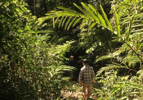 800 - RI-L-4-002Easia_Travel_Ban_Kietngong_-_Xepian_Natural_Protected_Ar