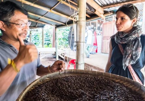 800 - RI-L-4-002Easia_Travel_Bolaven_-_Mystic_Mountain_Coffee_99732-1000px