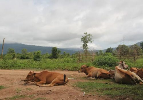 800 - RI-L-4-002Easia_Travel_Champasak_-_Along_the_Red_Trail_70917-1000p