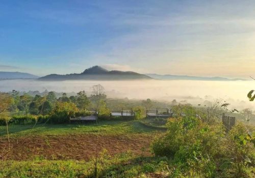 800 - RI-L-4-002Mystic_Coffee_Homestay_Bolaven_-_Mystic_Mountain_Coffee_132819