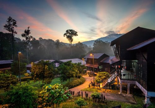 Stunning Sunrise at National Park (taman Negara) Endau Rompin Selai in Johor Malaysia