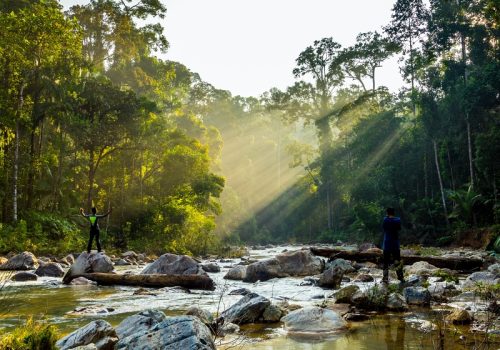 Stunning,Sunrise,At,National,Park,(taman,Negara),Endau,Rompin,Selai