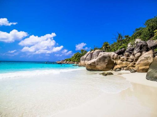 800 - Seychellen - beach-surrounded-by-the-sea-and-greenery-under-the-sunlight-and-a-blue-sky-in-praslin-in-seychelles