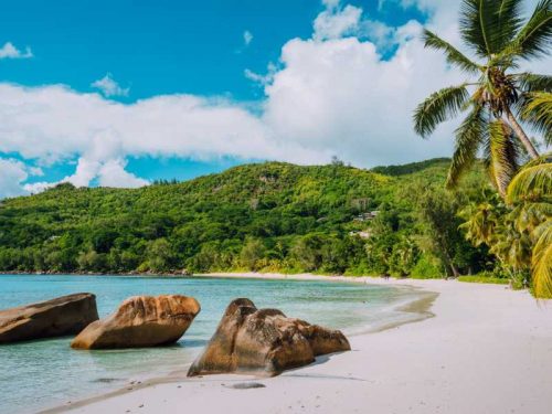 800 - Seychellen - white-sand-beach-coconut-palms-and-blue-lagoon-of-tropical-island-anse-takamaka-beach-seychelles