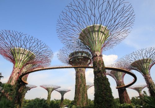 800 - Singapurgarden-458857_1280