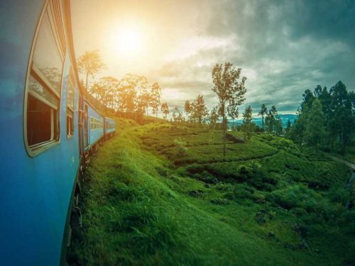800 - Sri Lanka - srilanka-2792097_1920