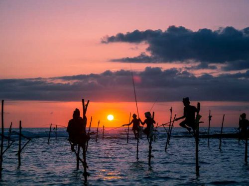 800 - Sri Lanka - traditional-stilt-fisherman-in-sri-lanka