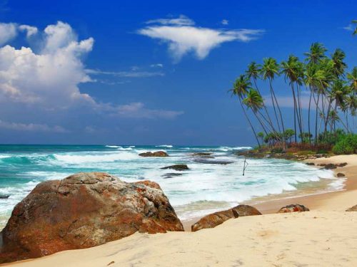 800 - Sri Lanka - wild-beautiful-beaches-of-sri-lanka