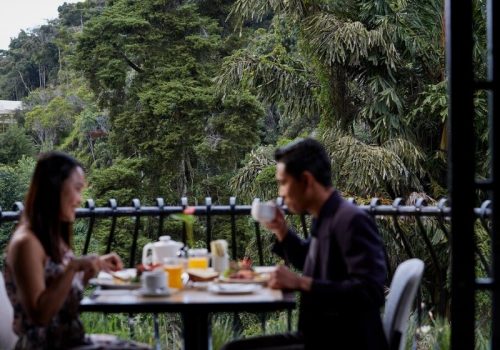 800 - Strwaberry Park Gallery-Resort-1-1024x683