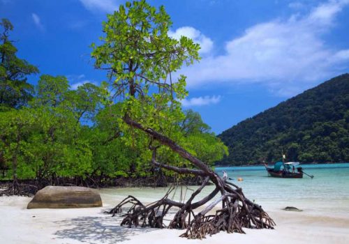 800 - Surin Islands -beautiful-beaches-and-mangroves-of-tropical-sea