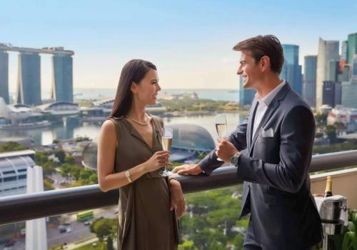 800 - Swissotel - https __i.travelapi.com_lodging_1000000_10000_400_311_98da7cc8_z
