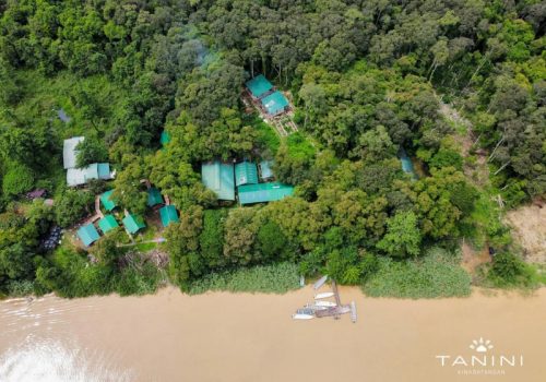 800 - Tanini Kinabatangan42f442c7700cd05526496b2525a5a6a5