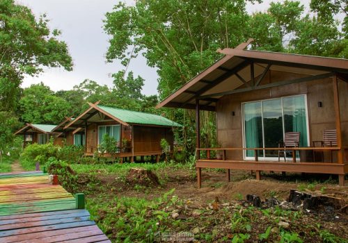 800 - Tanini Kinabatangan669775a5bb2b08f84000620c_NLK-Room-Buaya-WM-Comp-6