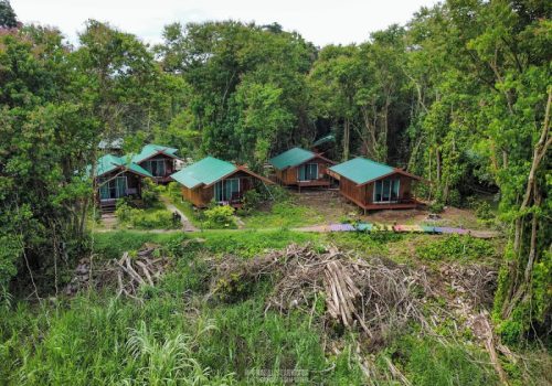 800 - Tanini Kinabatangand24f0d2e