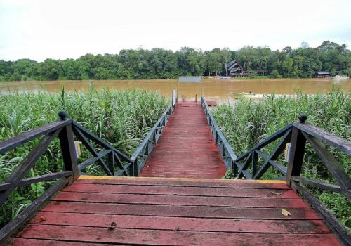 800 - Tanini Kinabatangane370cd0bf1be9de056c74874ea232d21