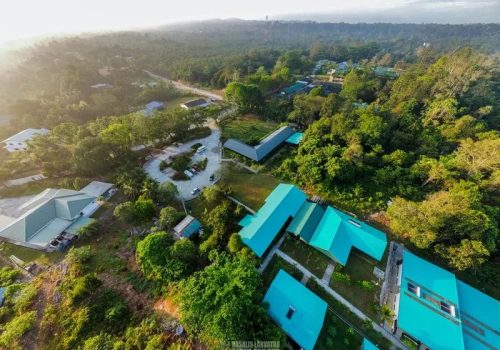 800 - Tanini Sepilok669489a814cf910b92dc7188_NLS WM Drone (3 of 6)-p-800