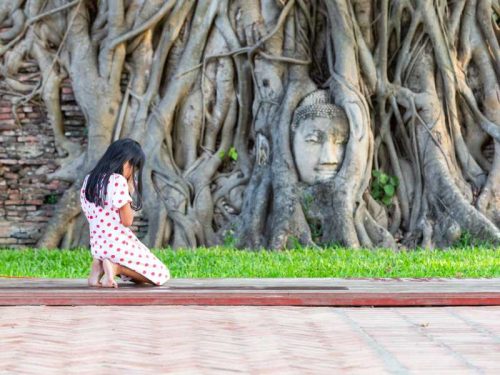 A girl kneeling pray for holy at head of buddha statue in the tr