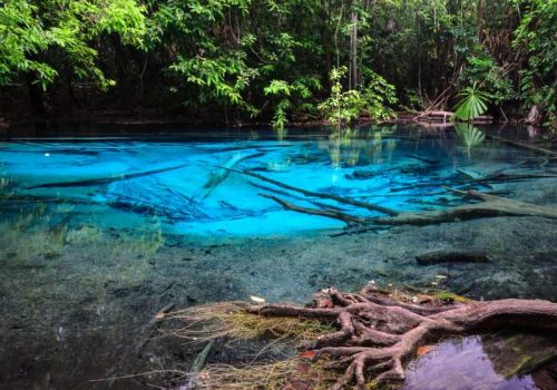 800 - tiefer Süden - emerald-blue-pool-sra-morakot-in-krabi-province-thailand-beautiful-nature-scene-of-crystal-clear-blue-water-in-tropical-rainforest