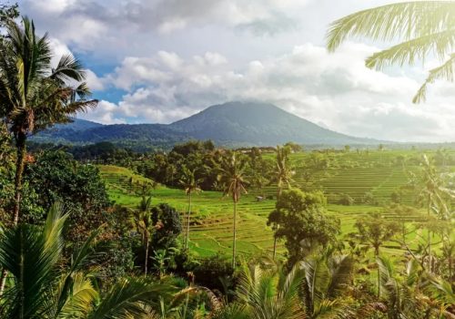 800x600 - Balibeautiful-scenery-at-jatiluwih-rice-terrace-in-bali-indonesia