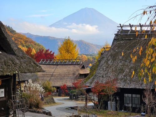 800x600 - Japan Alex - 20231109_154604