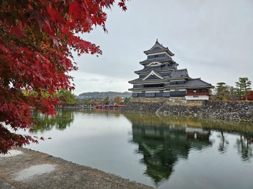800x600 - Japan Alex - 20231110_111315