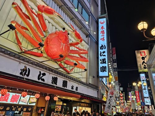 800x600 - Japan Alex - 20231112_174530