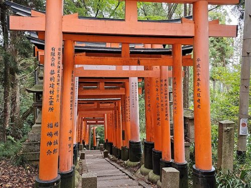 800x600 - Japan Alex - 20231113_093120