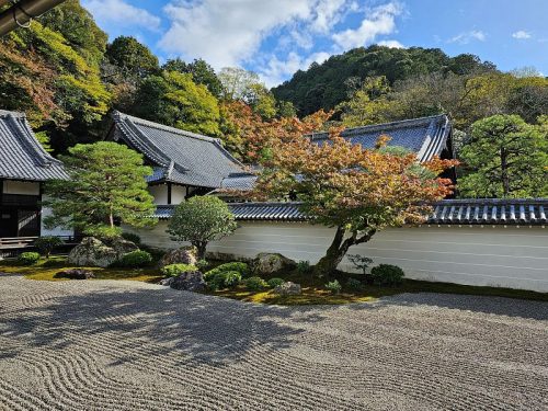 800x600 - Japan Alex - 20231113_132030