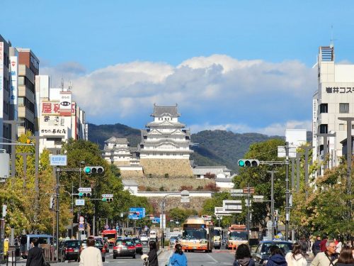 800x600 - Japan Alex - 20231114_124938