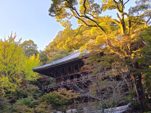 800x600 - Japan Alex - 20231114_160101