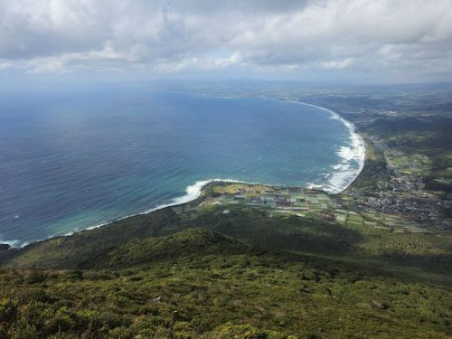 800x600 - Japan Alex - 20231117_133151