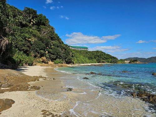 800x600 - Japan Alex - 20231120_124922