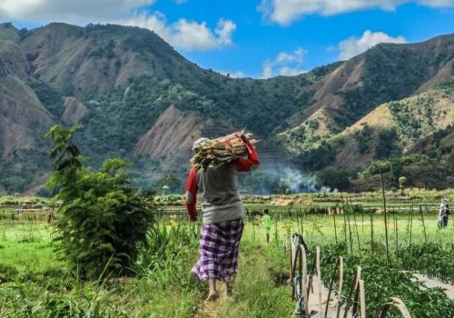 800x600 - Lombok800_-_Lombokfarmer-5617832_1280