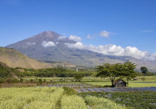 800x600 - Lombokfield-5617818_1280